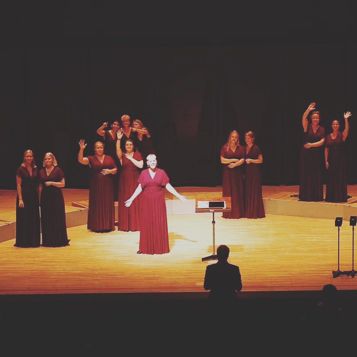 Sofia Vokalensemble fotograferad från sidan under Tokyokonserten